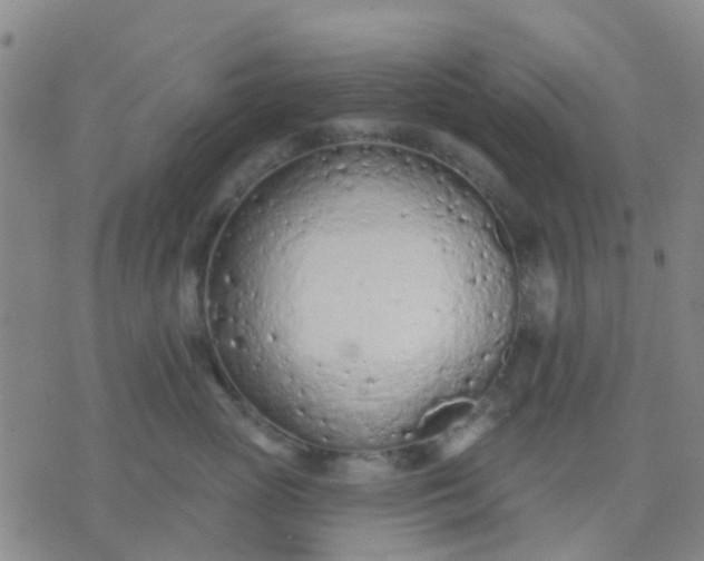 X0000074300765200609081917