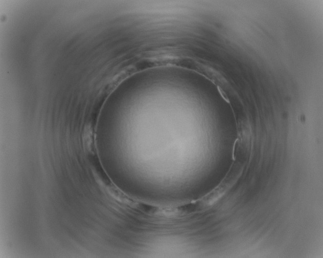 X0000074300767200609081917