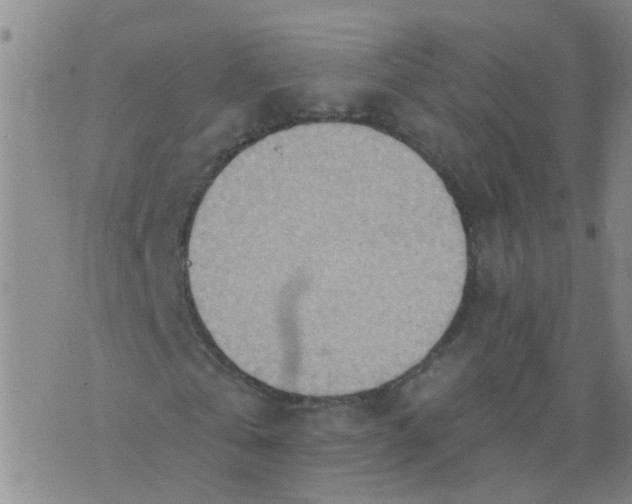 X0000074300769200609081916