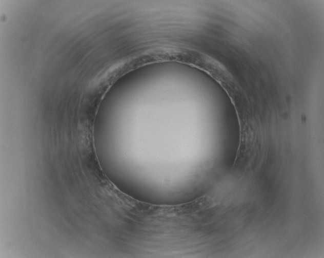 X0000074300773200609081916