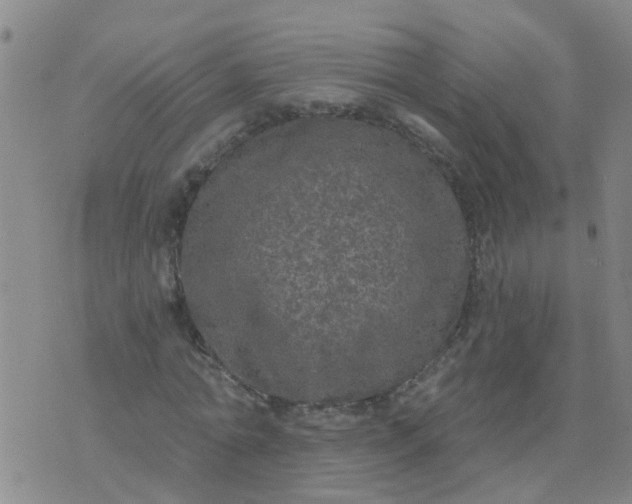 X0000074300774200609081916