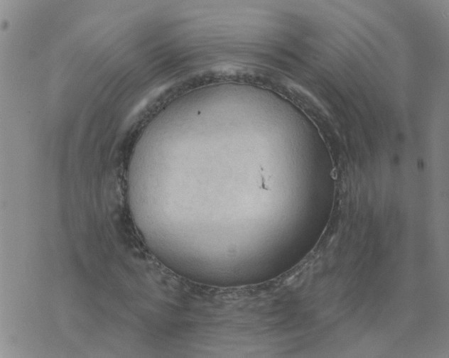 X0000074300776200609081916