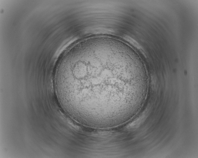 X0000074300782200609081916