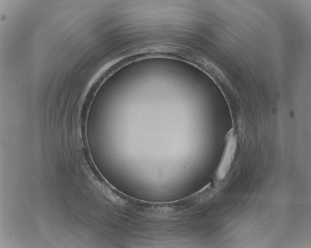 X0000074300784200609081916