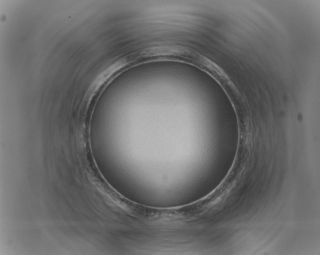 X0000074300786200609081916