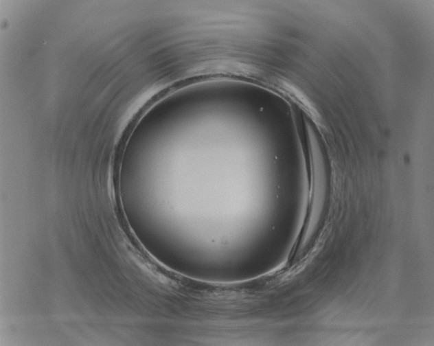 X0000074300788200609081916