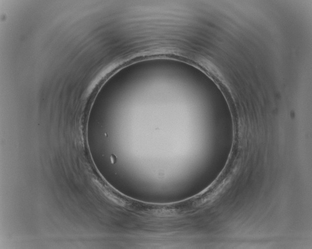 X0000074300789200609081916