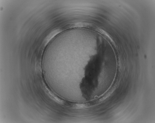 X0000074300794200609081916