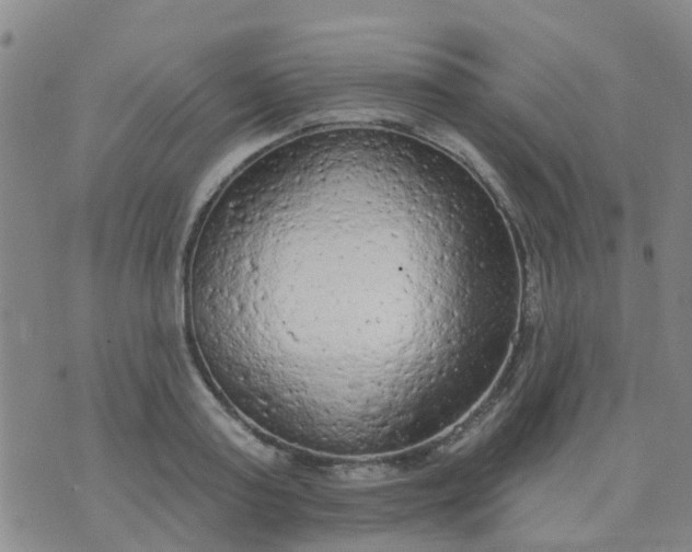 X0000074300795200609081916