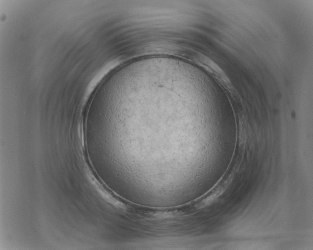 X0000074300796200609081916