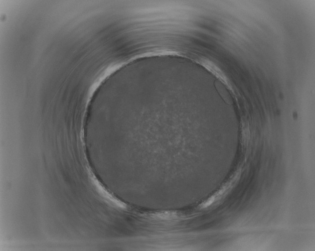 X0000074300797200609081916