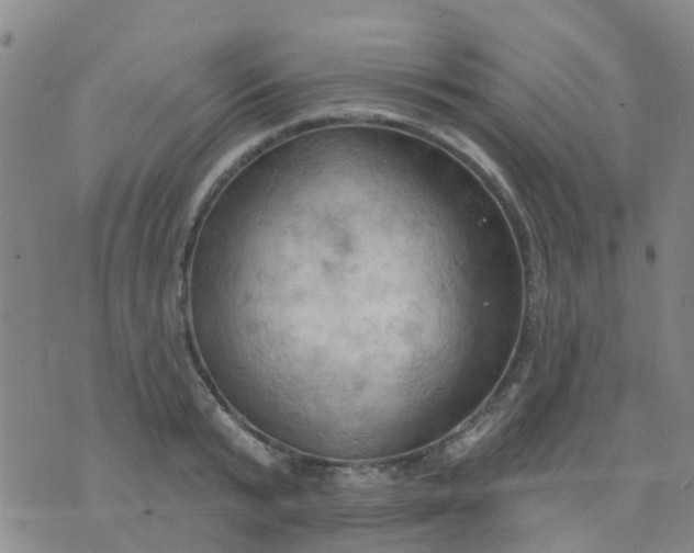 X0000074300799200609081916