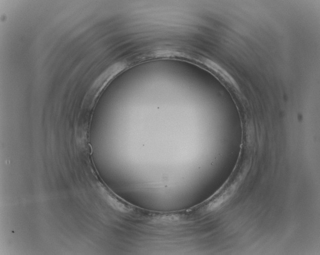 X0000074300801200609081916