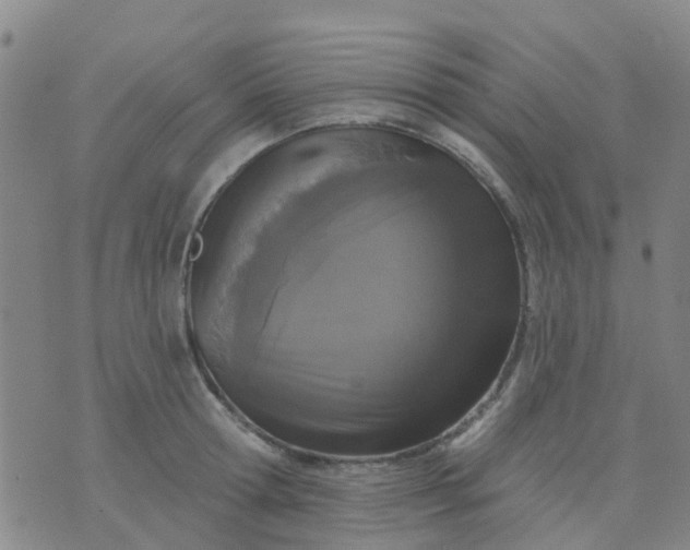 X0000074300802200609081916