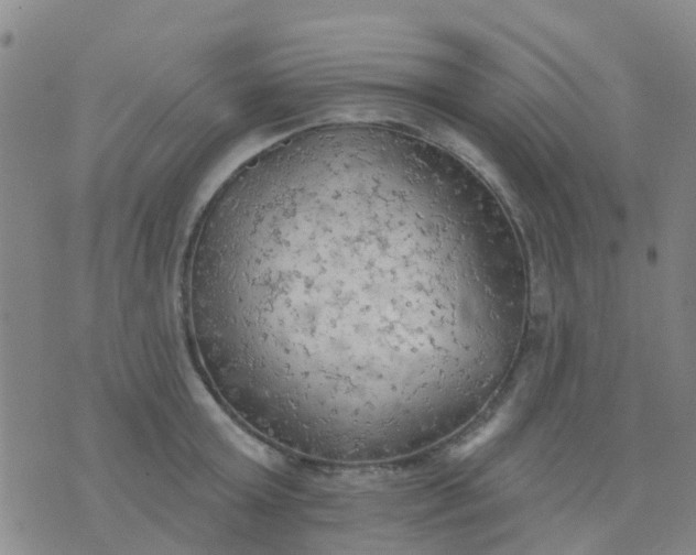 X0000074300803200609081915