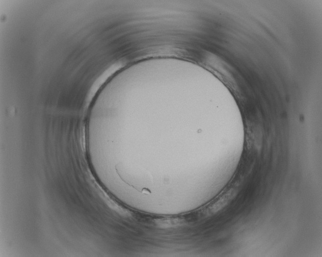 X0000074300804200609081915