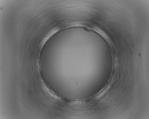 X0000074300806200609081915