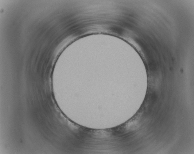 X0000074300807200609081915