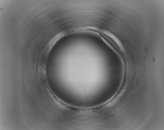 X0000074300809200609081915