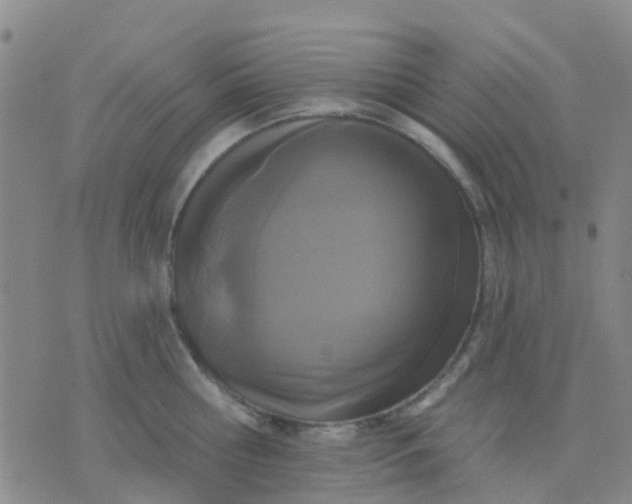 X0000074300810200609081915