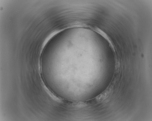 X0000074300811200609081915