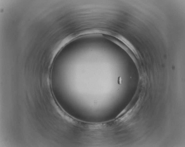 X0000074300813200609081915