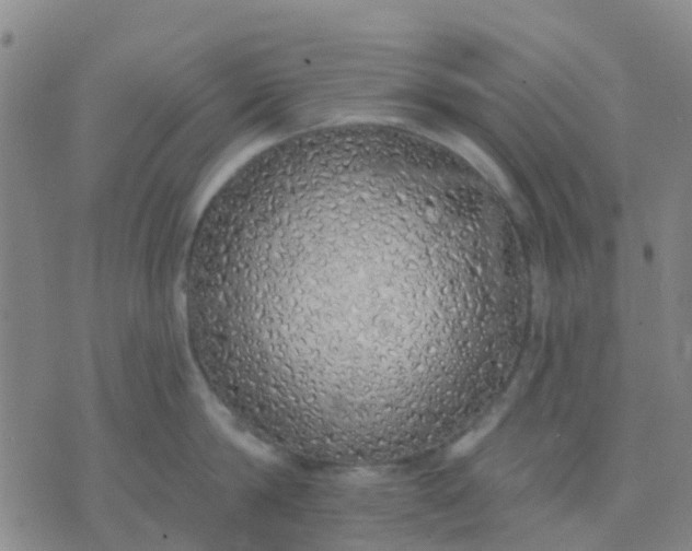 X0000074300814200609081915