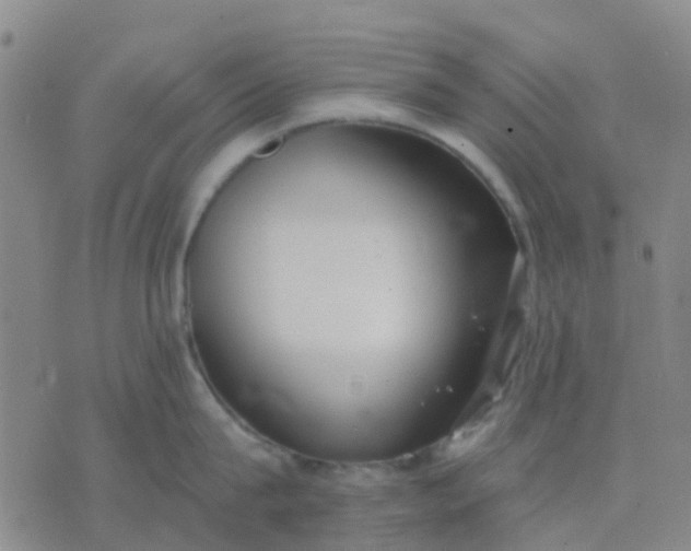 X0000074300815200609081915