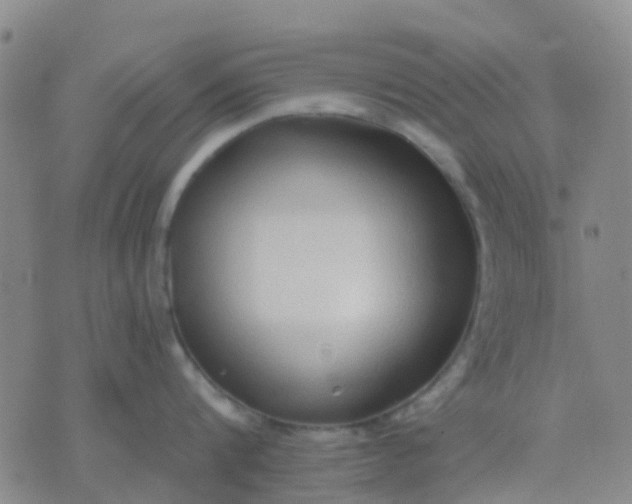 X0000074300816200609081915