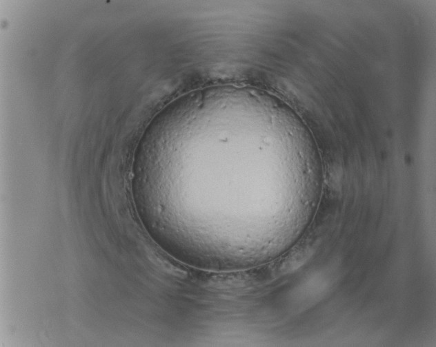 X0000074300817200609081915