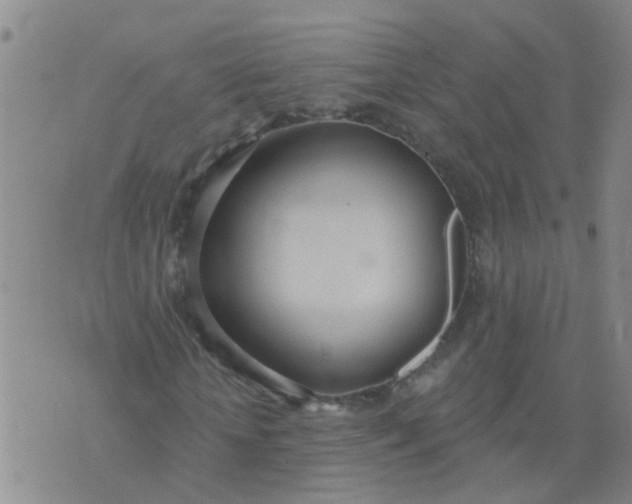 X0000074300818200609081915