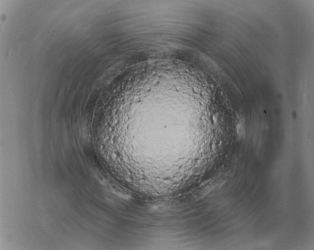 X0000074300819200609081915