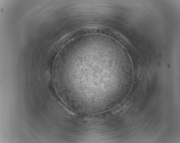 X0000074300821200609081915