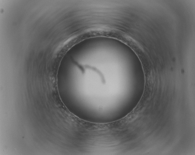 X0000074300822200609081915