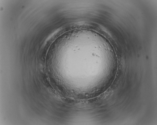 X0000074300823200609081915