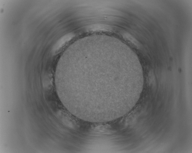 X0000074300824200609081915