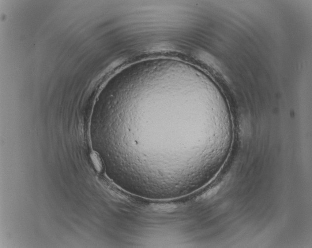 X0000074300825200609081915