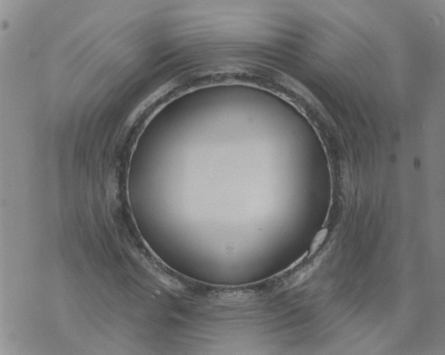 X0000074300826200609081915