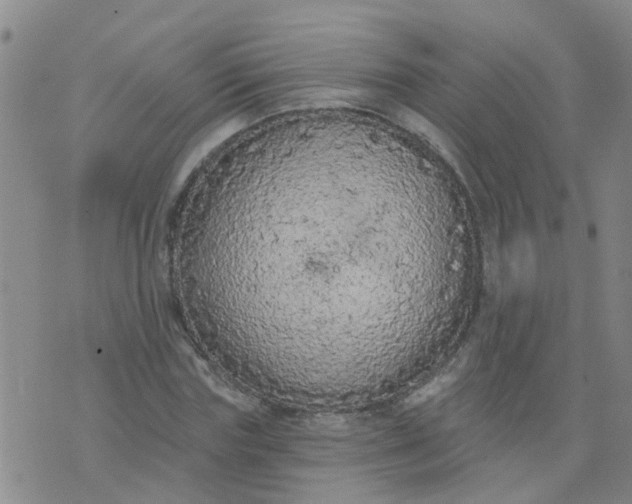 X0000074300827200609081915