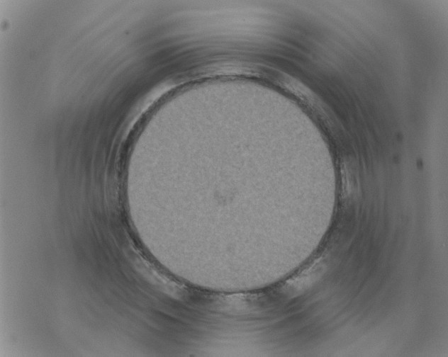 X0000074300828200609081915