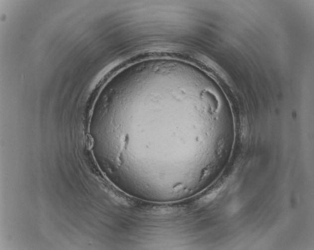 X0000074300829200609081915