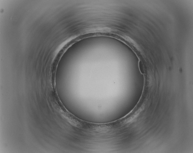 X0000074300830200609081915