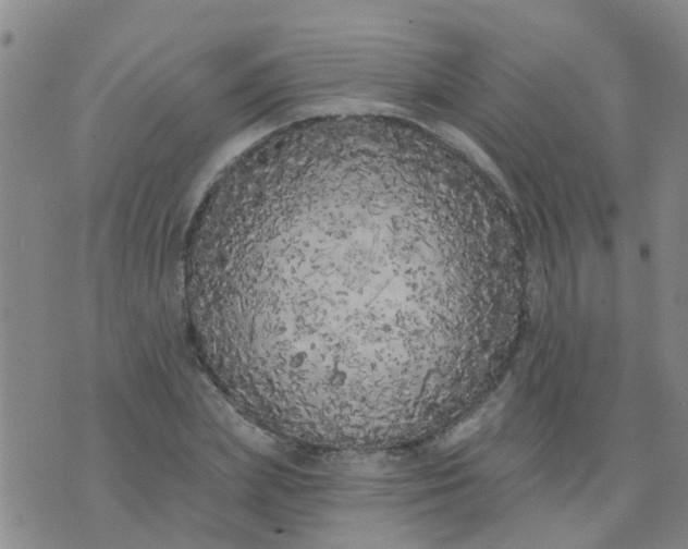 X0000074300831200609081915