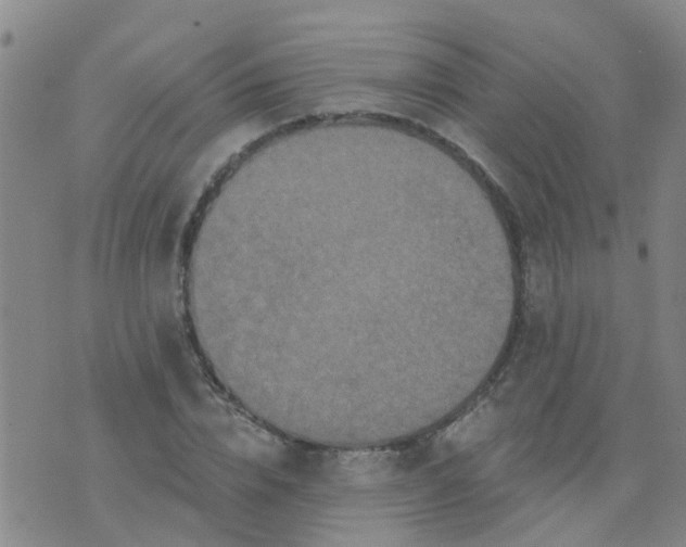 X0000074300832200609081915