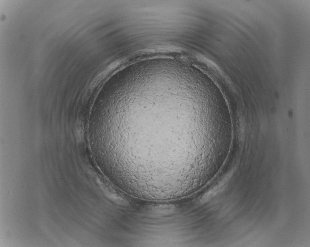 X0000074300833200609081915