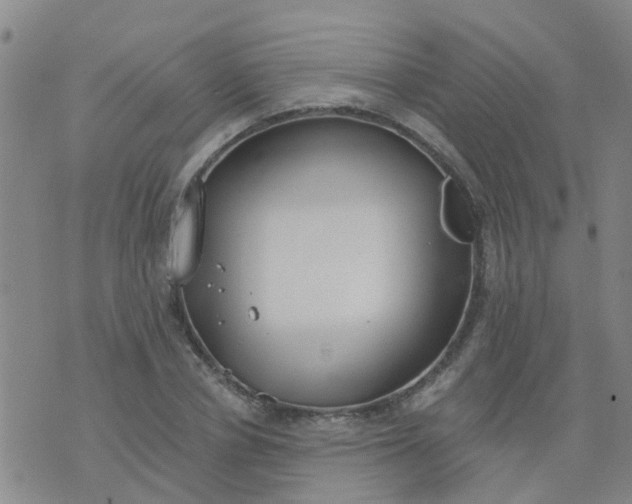 X0000074300834200609081915