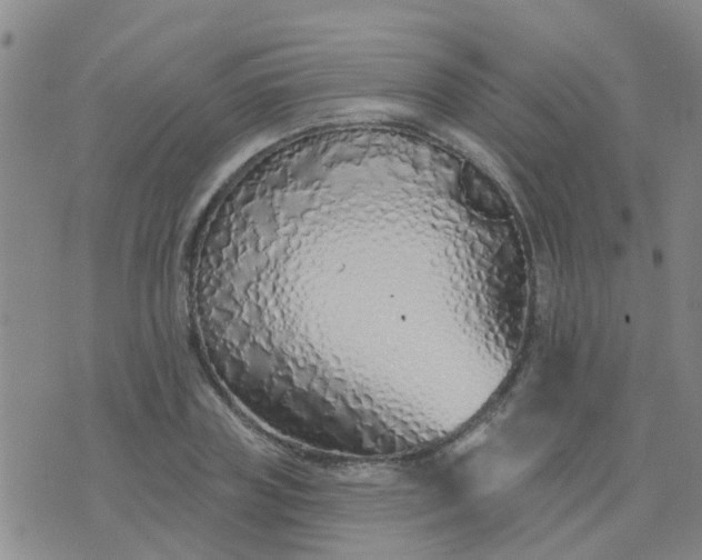 X0000074300835200609081915