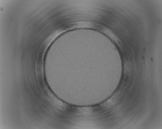 X0000074300836200609081915