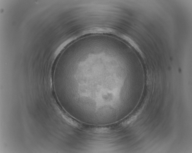 X0000074300837200609081915