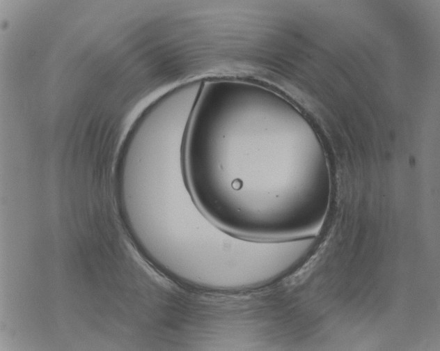 X0000074300838200609081915